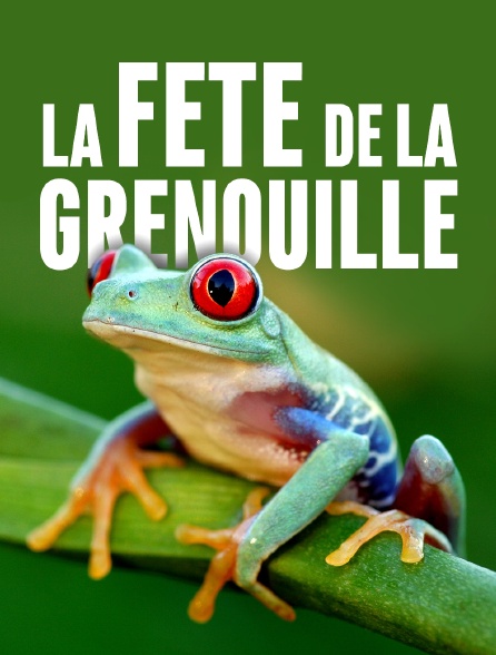 La fête de la grenouille