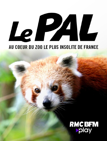 RMC BFM Play - Le PAL : au coeur du zoo le plus insolite de France