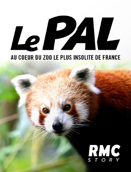 RMC Story - Le Pal : au coeur du zoo le plus insolite de France