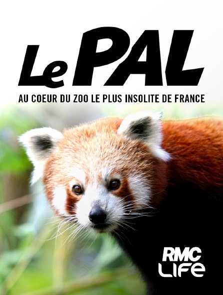 RMC Life - Le Pal : au coeur du zoo le plus insolite de France