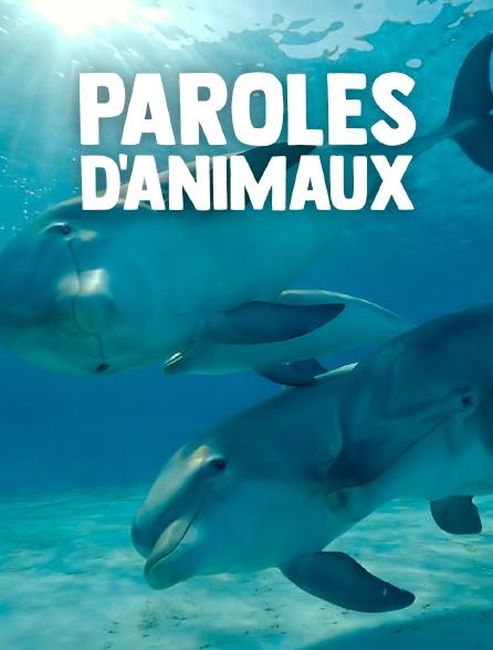 Paroles d'animaux