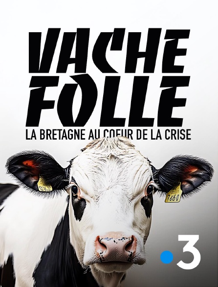 France 3 - Vache folle, la Bretagne au coeur de la crise