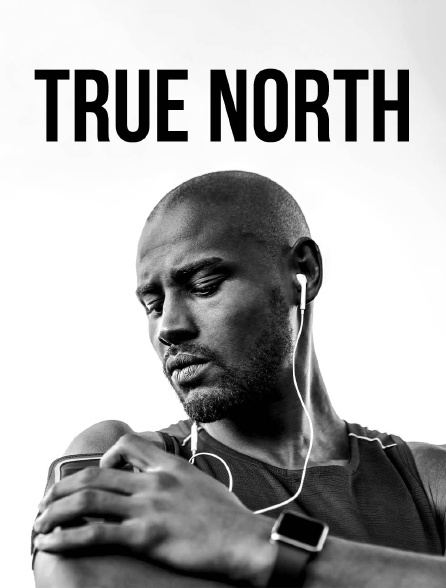 True North