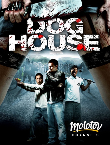 Molotov channels - Doghouse