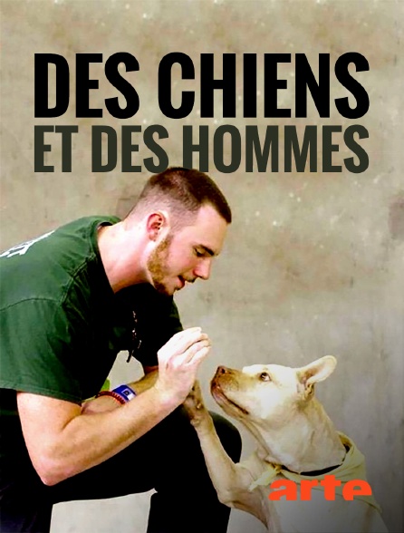 Arte - Des chiens et des hommes