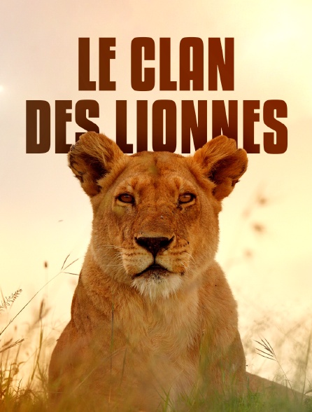 Le clan des lionnes