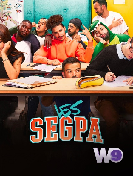 W9 - Les SEGPA