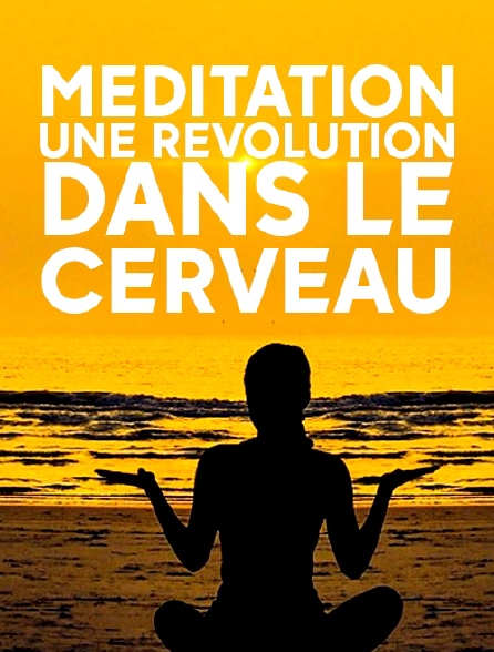 Méditation, une révolution dans le cerveau