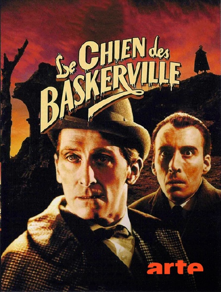 Arte - Le chien des Baskerville