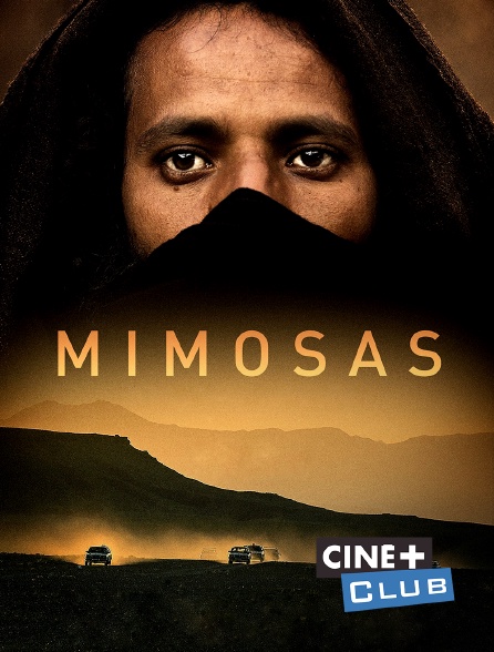 Ciné+ Club - Mimosas