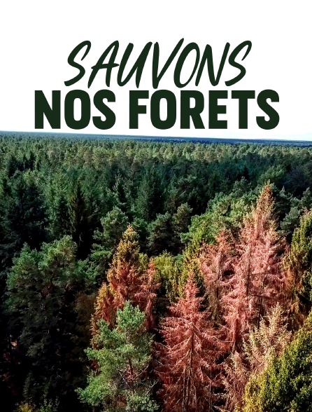 Sauvons nos forêts