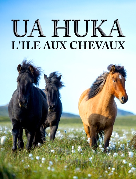 Ua huka, l'île aux chevaux