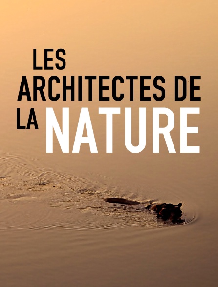 Les architectes de la nature *2017