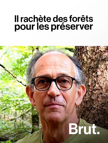 Brut - Il rachète des forêts pour les préserver