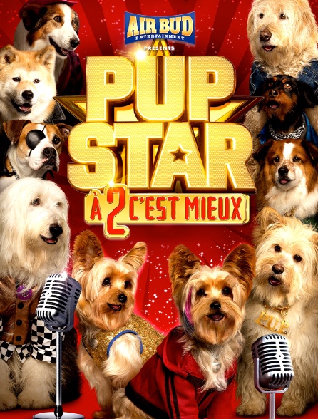 Pup Star : A 2 c'est mieux