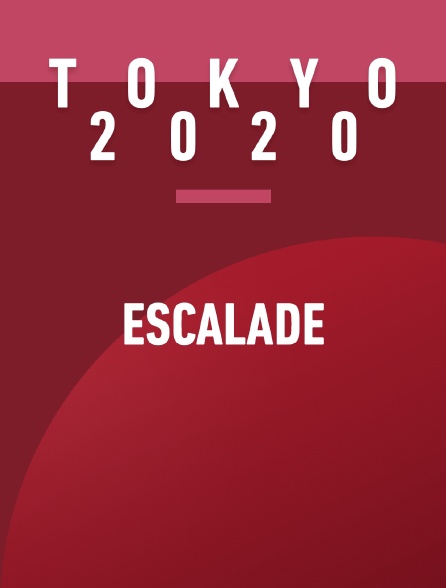 Jeux olympiques de Tokyo 2020 : Escalade