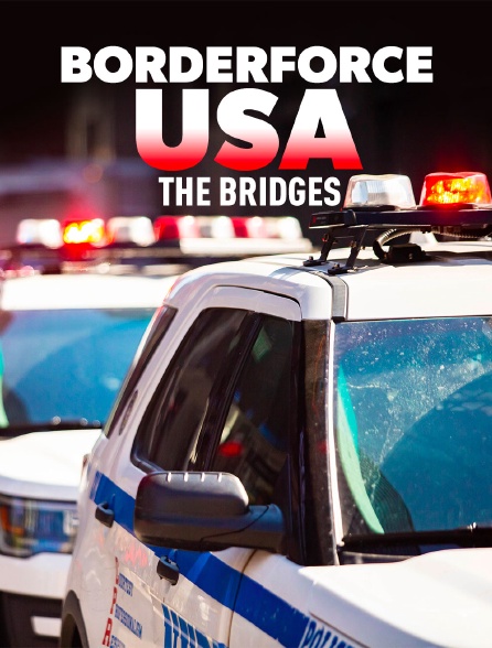 Borderforce USA : the Bridges