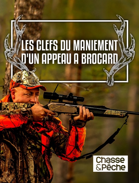 Chasse et pêche - Les clefs du maniement d'un appeau à brocard