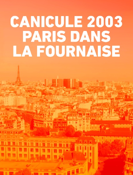 Canicule 2003 : Paris dans la fournaise
