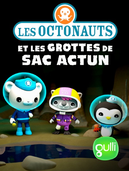 Gulli - Les Octonauts et les grottes de Sac Actun