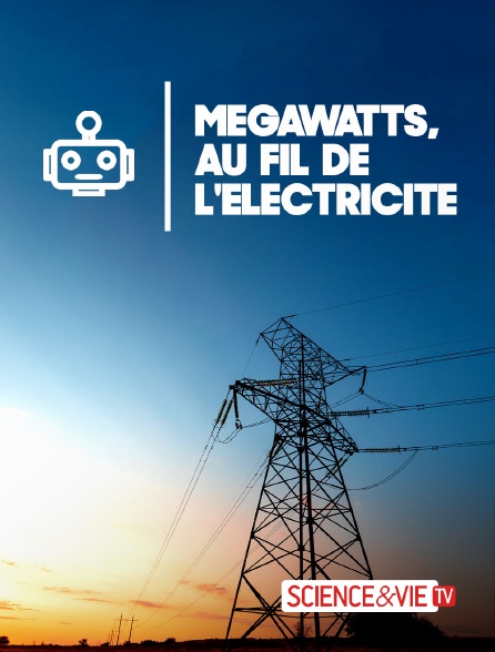 Science et Vie TV - Megawatts, au fil de l'électricité
