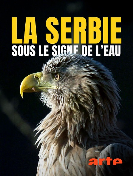 Arte - La Serbie, sous le signe de l'eau
