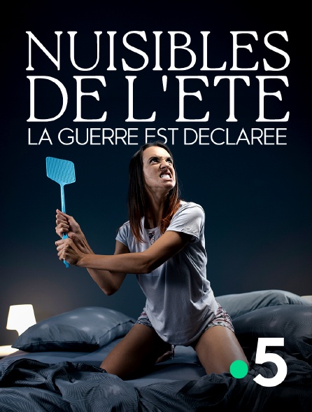 France 5 - Nuisibles de l'été, la guerre est déclarée
