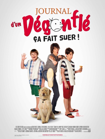 Journal d'un dégonflé : ça fait suer !