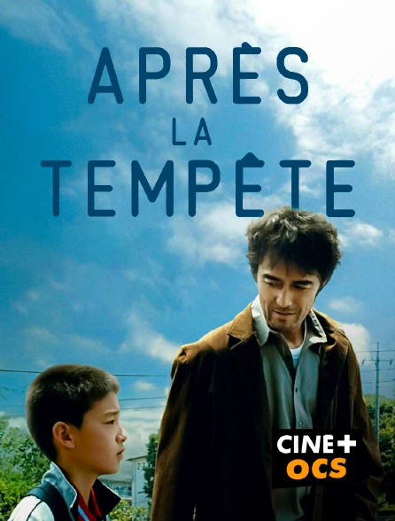 CINÉ Cinéma - Après la tempête