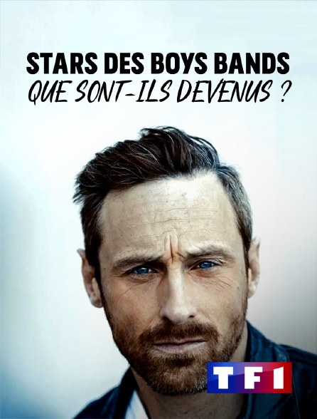 TF1 - Stars des boys bands : que sont-ils devenus ?
