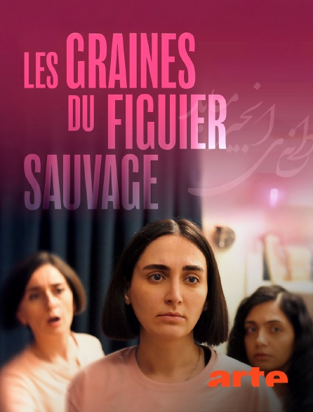 Arte - Les graines du figuier sauvage