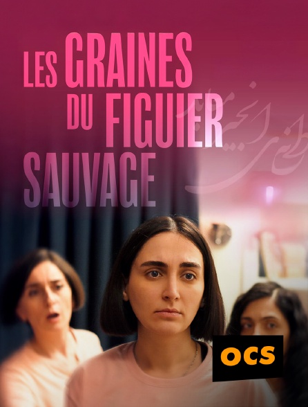 OCS - Les graines du figuier sauvage