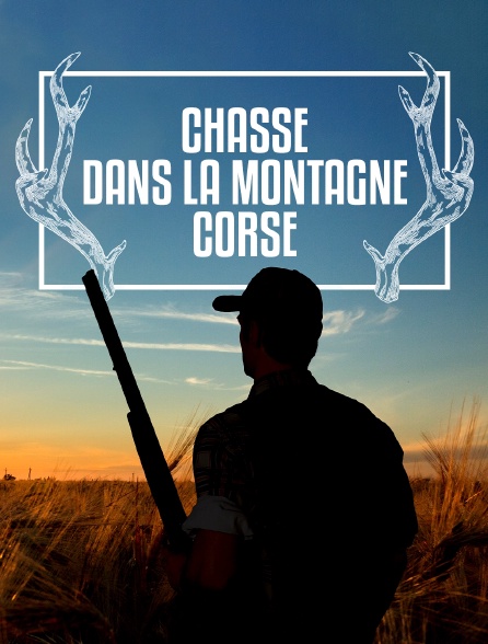 Chasse dans la montagne corse