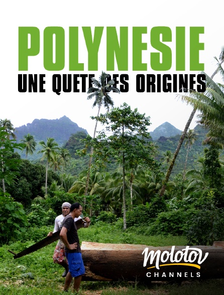 Mango - Polynésie : une quête des origines