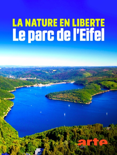 Arte - La nature en liberté : Le parc de l'Eifel