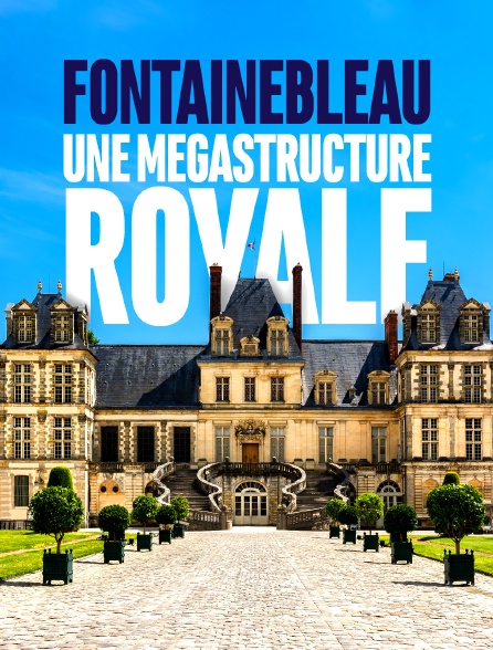 Fontainebleau, une mégastructure royale