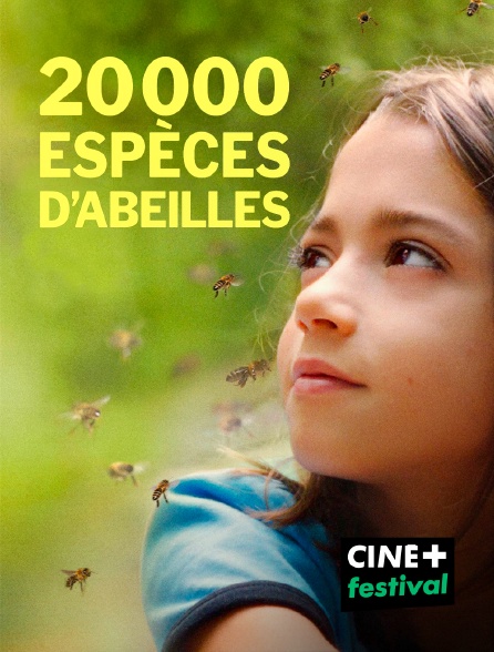 CINE+ Festival - 20 000 espèces d'abeilles