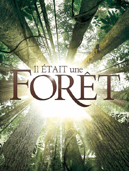 Il était une forêt