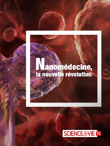 Science et Vie TV - Nanomédecine : la nouvelle révolution