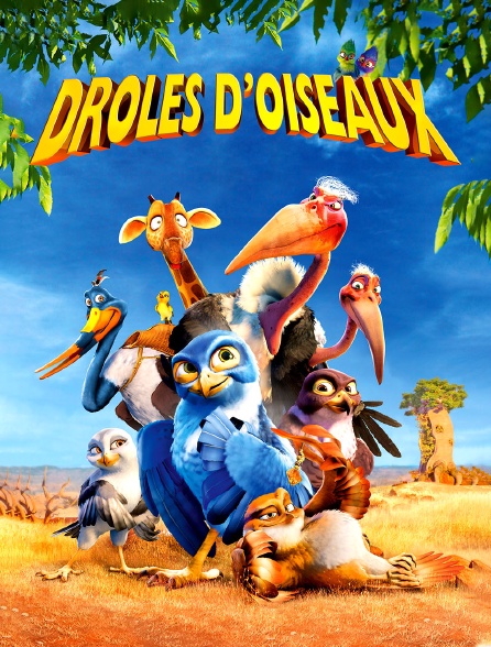 Drôle d'oiseau