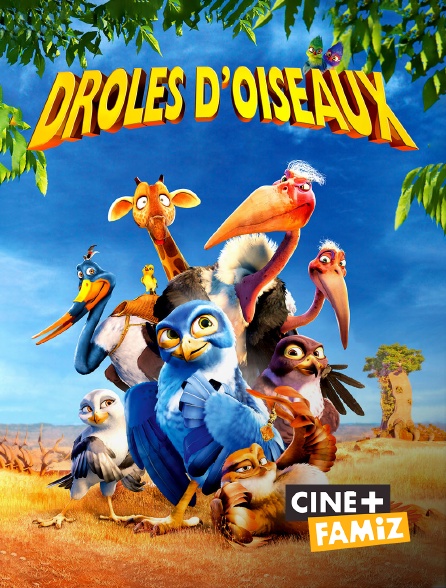 Ciné+ Famiz - Drôle d'oiseau