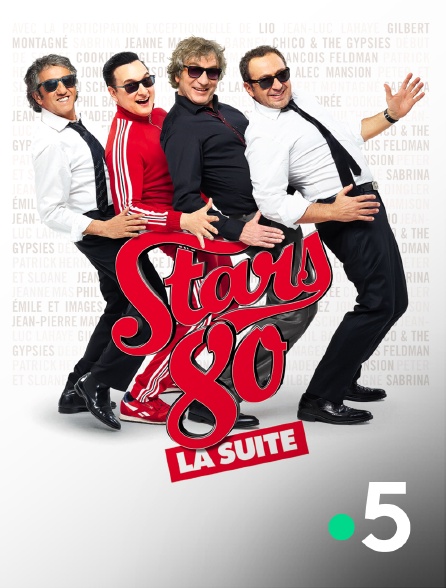 France 5 - Stars 80 : la suite