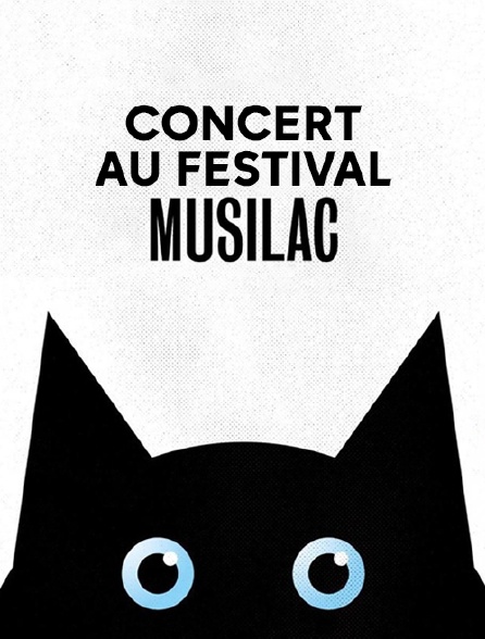 Concert au Festival Musilac