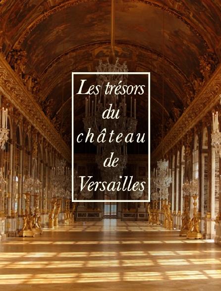 Les trésors du château de Versailles