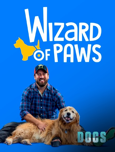 Molotov Channels Docs - Wizard of Paws