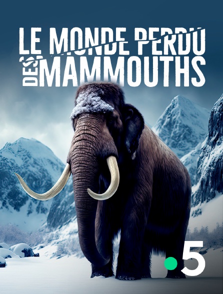 France 5 - Le monde perdu des mammouths