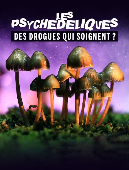 Les psychédéliques, des drogues qui soignent ?