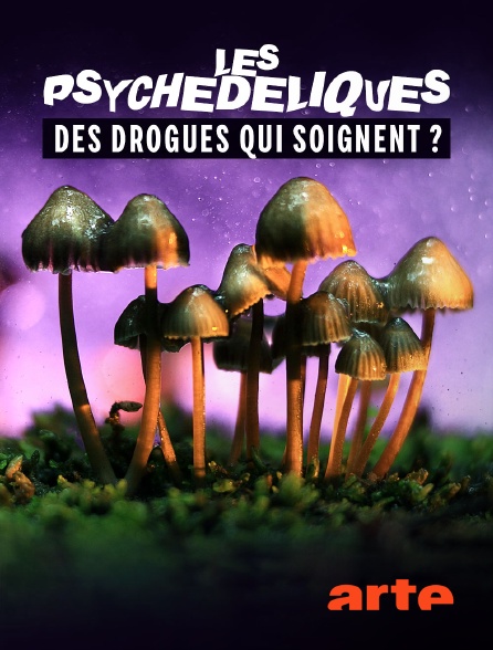 Arte - Les psychédéliques, des drogues qui soignent ?