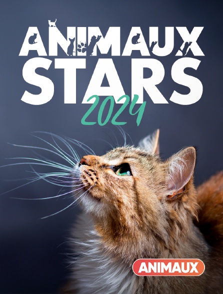 Animaux - Animaux stars 2024