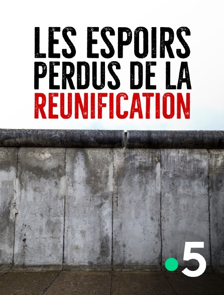 France 5 - Les espoirs perdus de la réunification